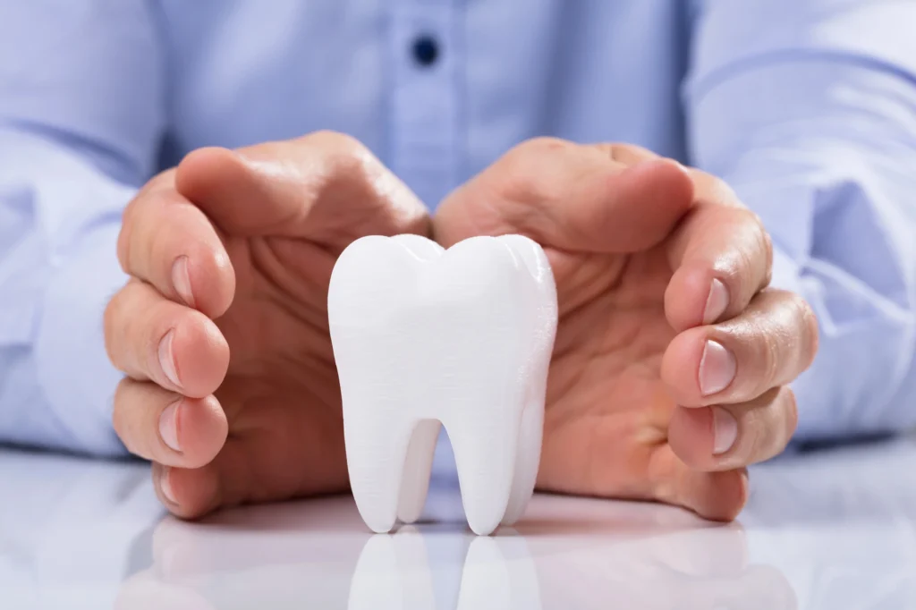 tooth model for affordable cosmetic dentistry options