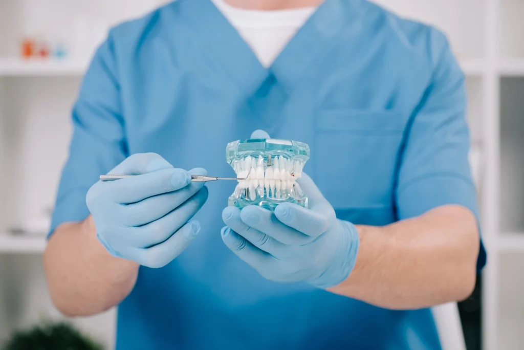 dentist showing orthodontics in Tysons